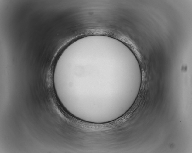 X0000097960012200803241052