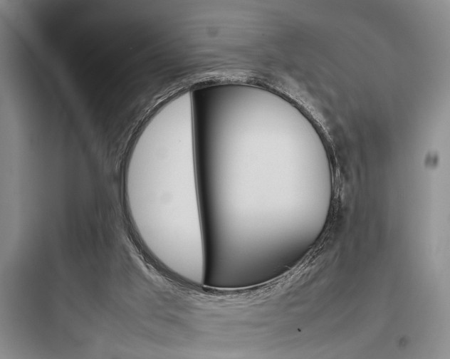X0000097960013200803241052
