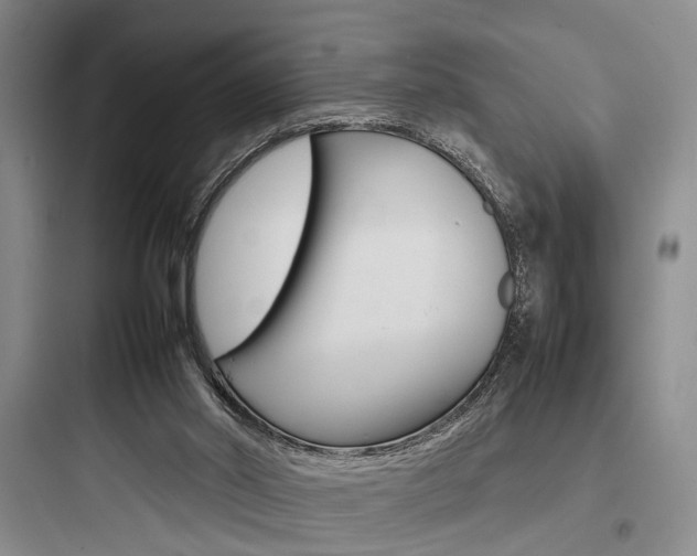X0000097960014200803241052