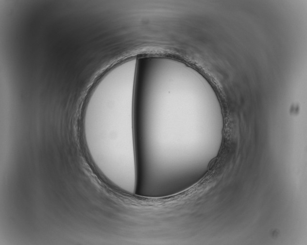 X0000097960015200803241052