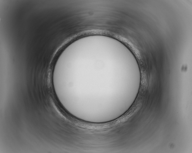 X0000097960016200803241052