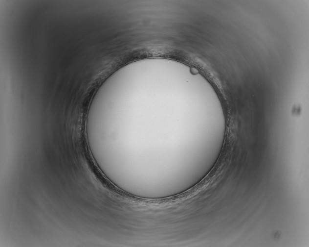X0000097960018200803241052
