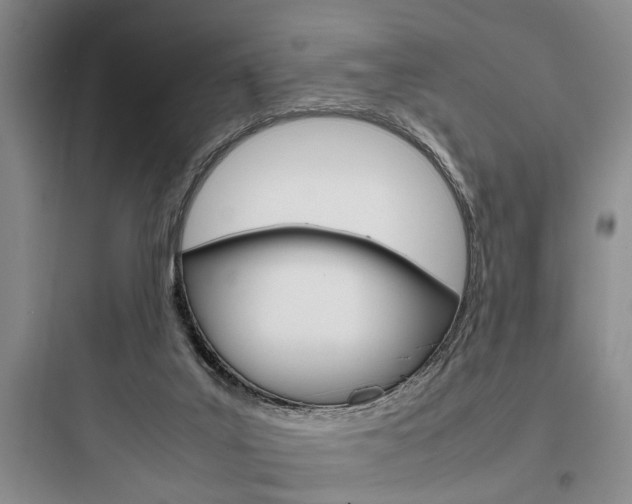 X0000097960019200803241052