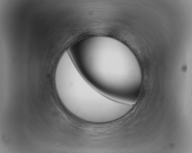 X0000097960021200803241052
