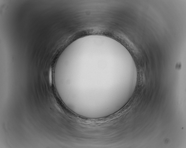 X0000097960022200803241052