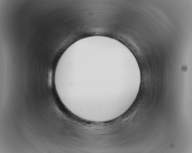 X0000097960024200803241052