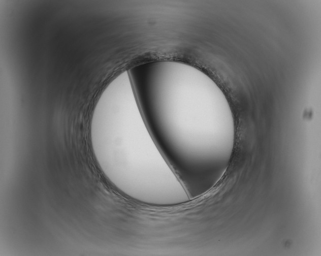 X0000097960025200803241052