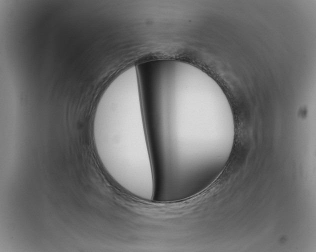 X0000097960027200803241052