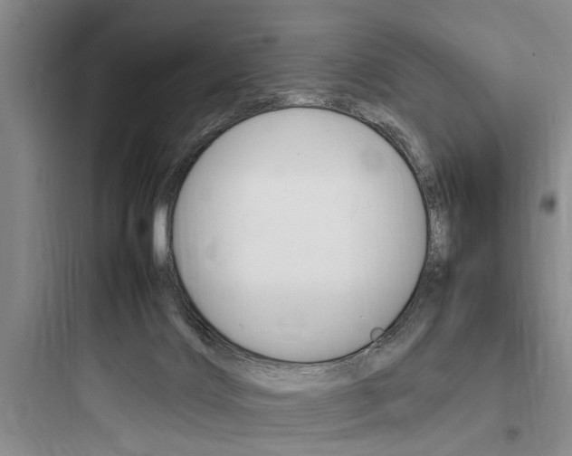 X0000097960028200803241052