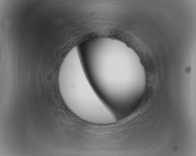 X0000097960029200803241052