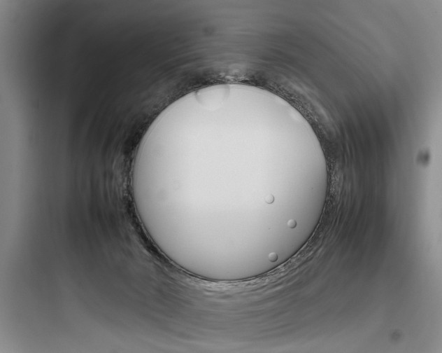 X0000097960030200803241052