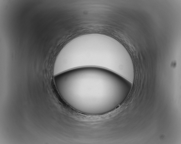 X0000097960031200803241052