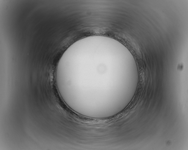 X0000097960032200803241052