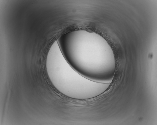 X0000097960033200803241052