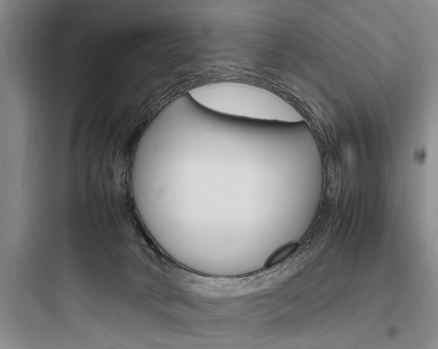 X0000097960034200803241052