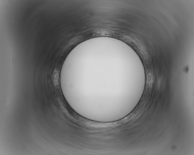 X0000097960036200803241052