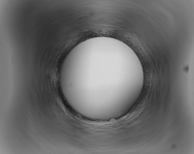 X0000097960040200803241052