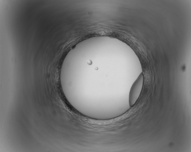X0000097960043200803241052
