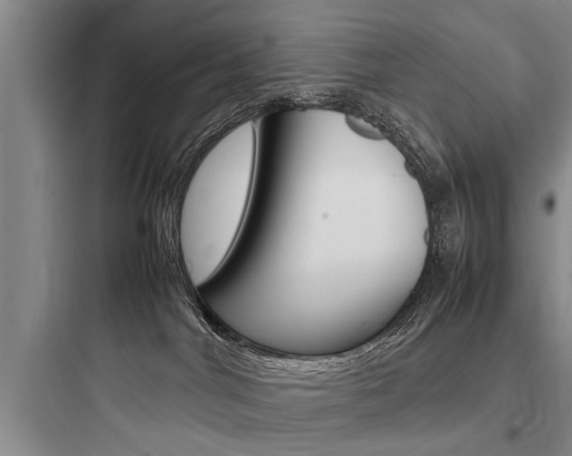 X0000097960044200803241052