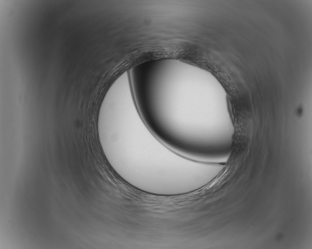 X0000097960045200803241052