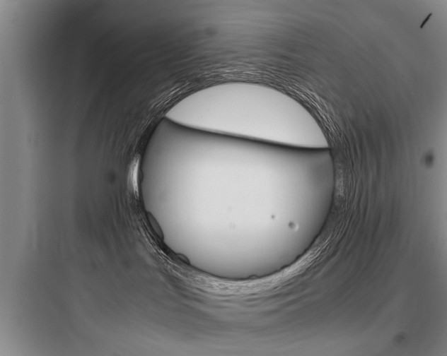 X0000097960047200803241052