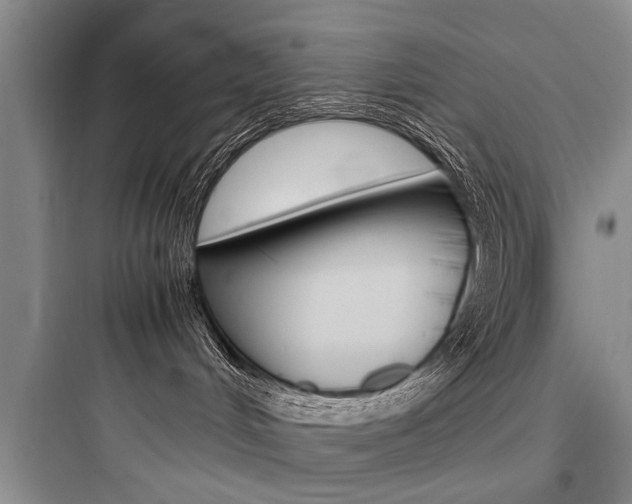 X0000097960048200803241052