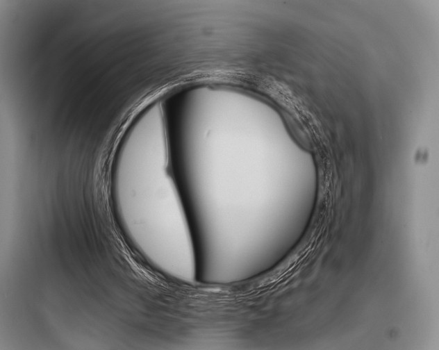 X0000097960050200803241051