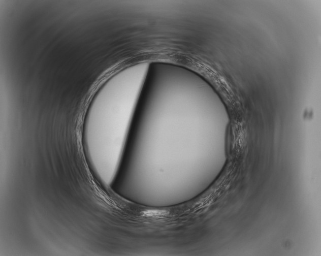 X0000097960051200803241051