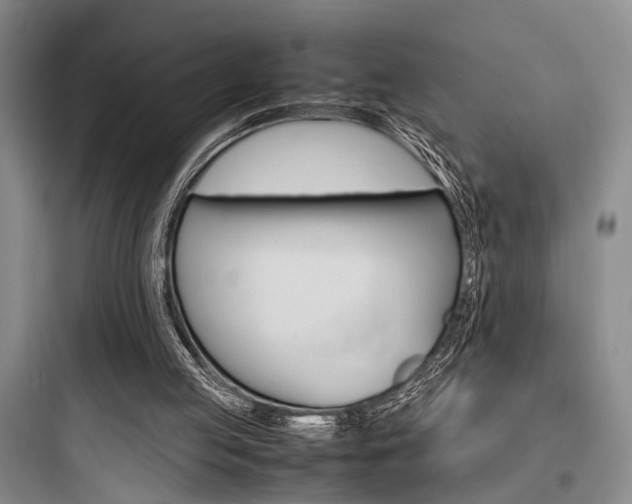 X0000097960053200803241051