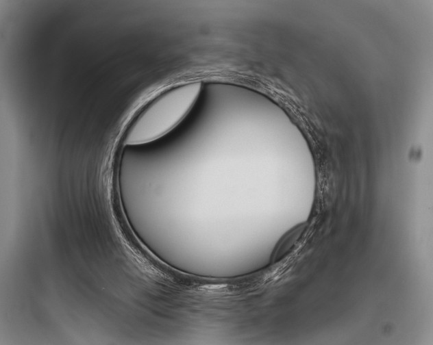 X0000097960054200803241051