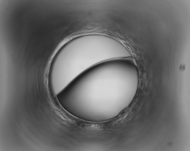 X0000097960056200803241051