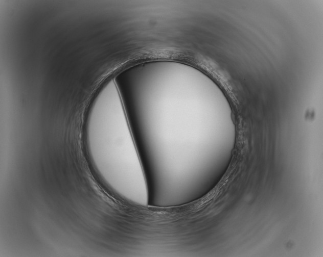 X0000097960058200803241051