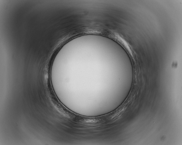 X0000097960059200803241051