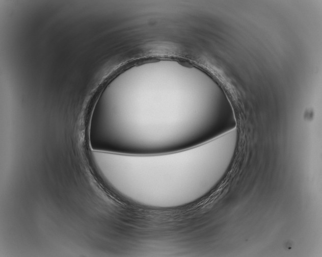 X0000097960060200803241051