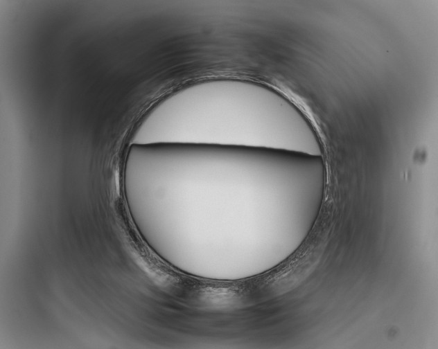 X0000097960061200803241051