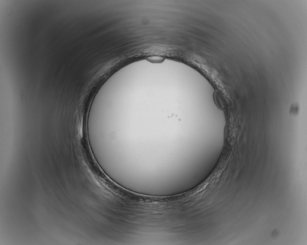 X0000097960062200803241051