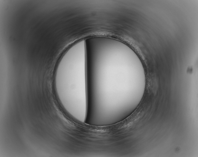 X0000097960063200803241051
