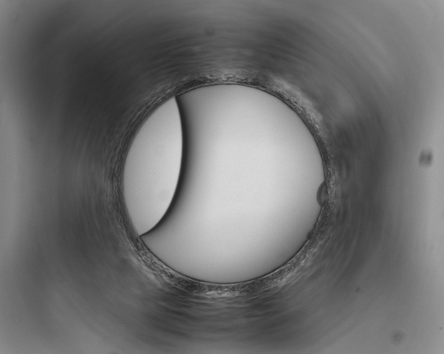 X0000097960065200803241051