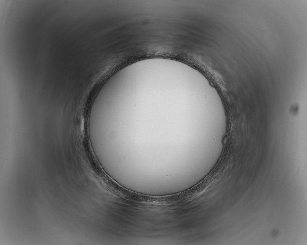 X0000097960067200803241051
