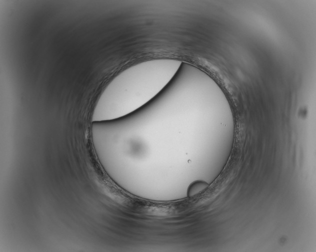 X0000097960069200803241051
