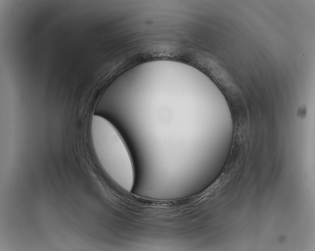 X0000097960070200803241051