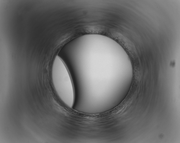 X0000097960071200803241051
