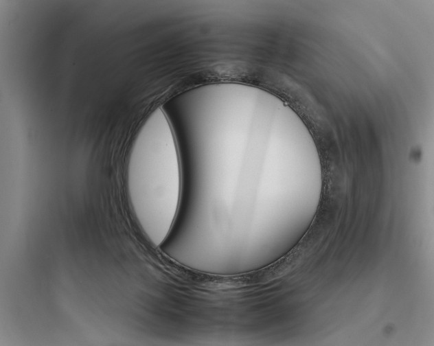 X0000097960075200803241051