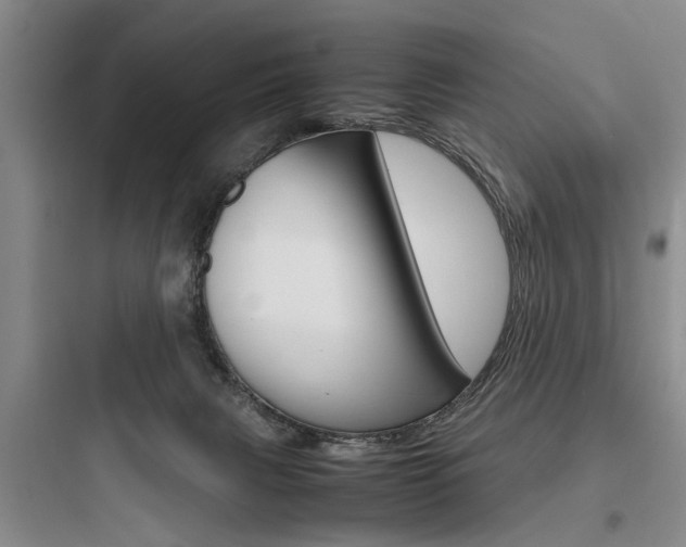 X0000097960079200803241052