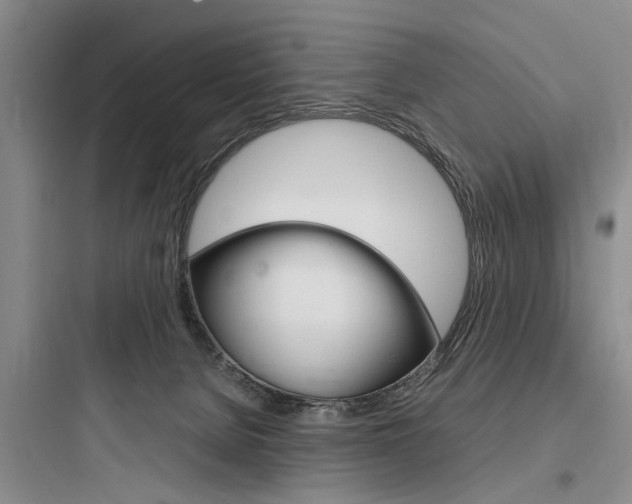 X0000097960080200803241052