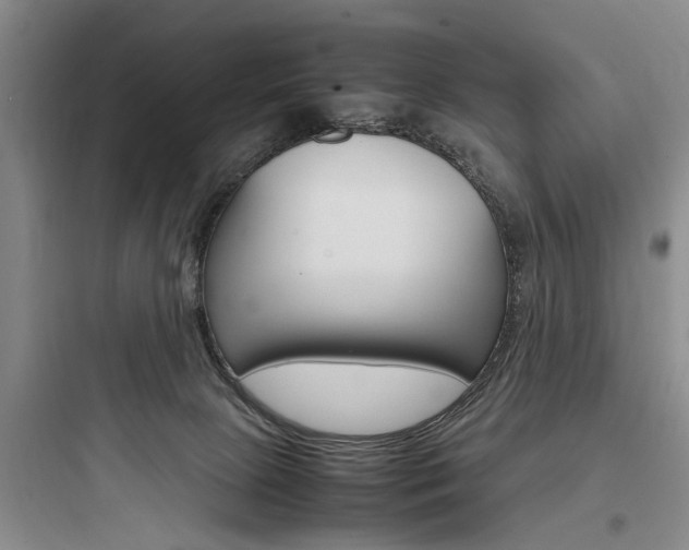 X0000097960081200803241052