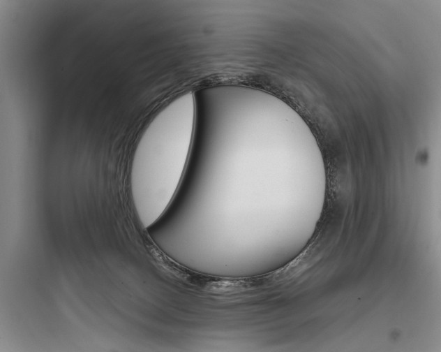 X0000097960082200803241052