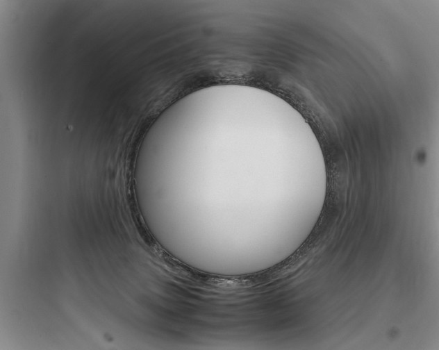 X0000097960083200803241052