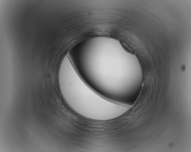 X0000097960084200803241052