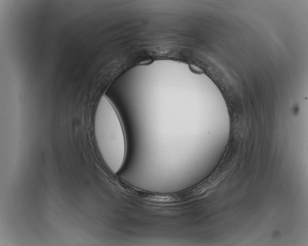 X0000097960085200803241052